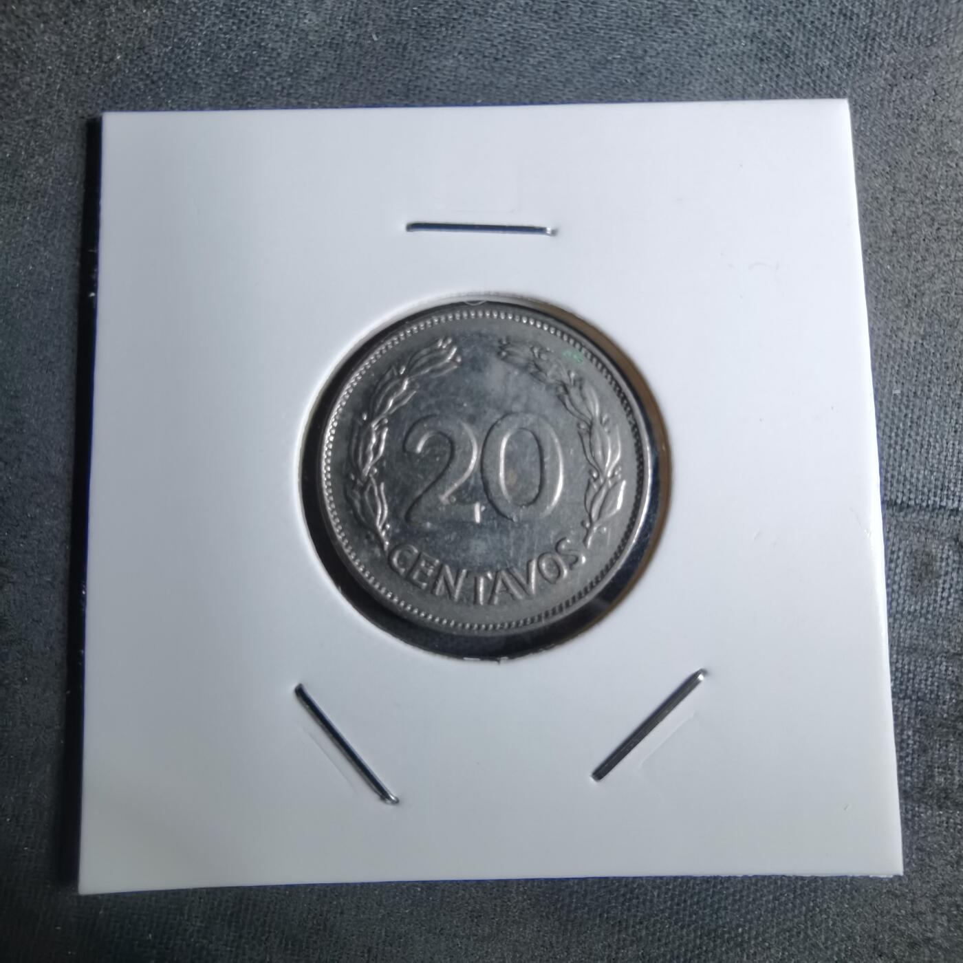 沼泽如烟--第886场