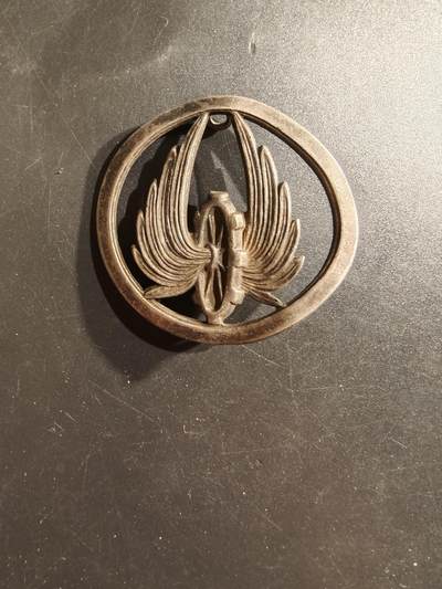 老王徽章第160期 - 法国后勤运输团贝雷帽徽