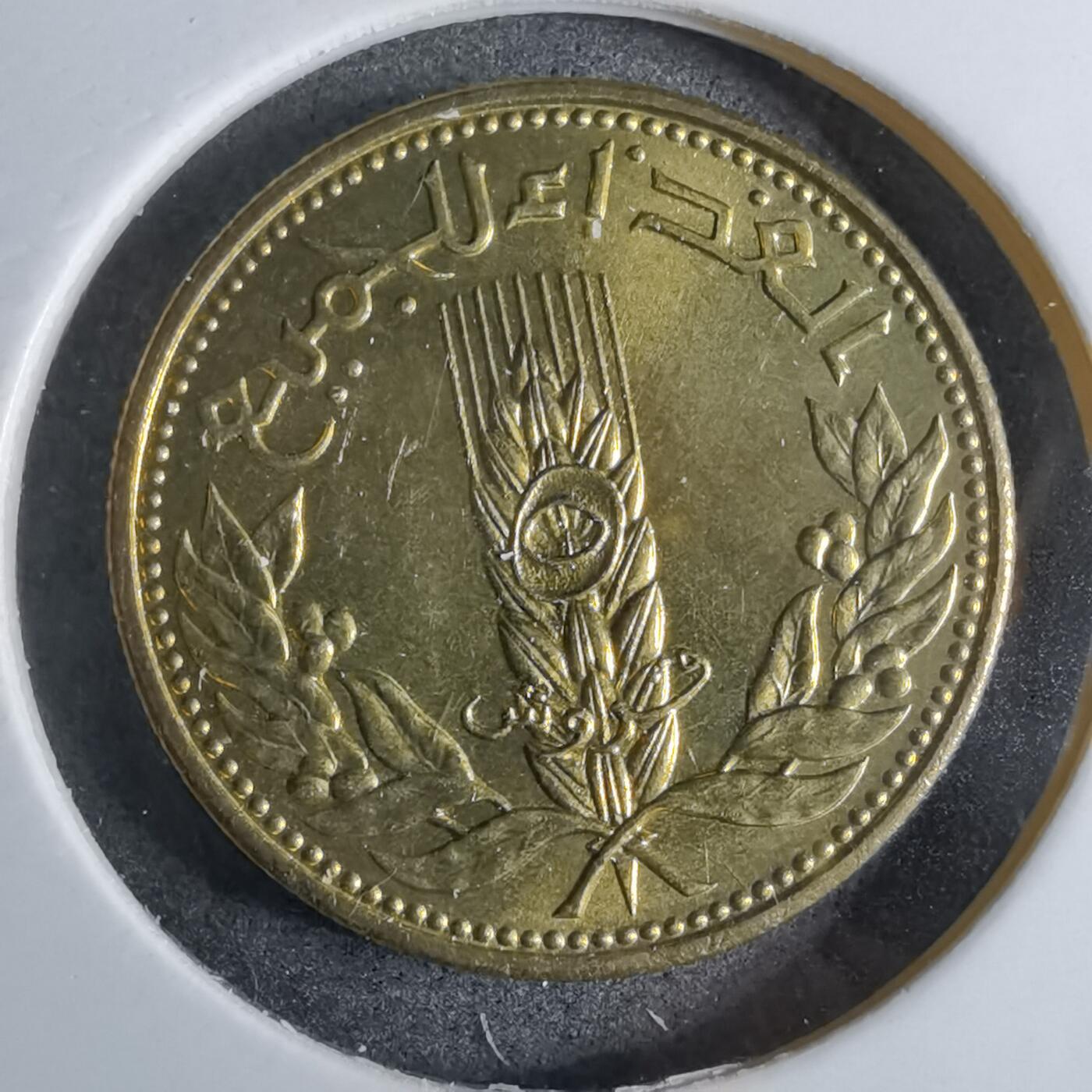 沼泽如烟--第886场