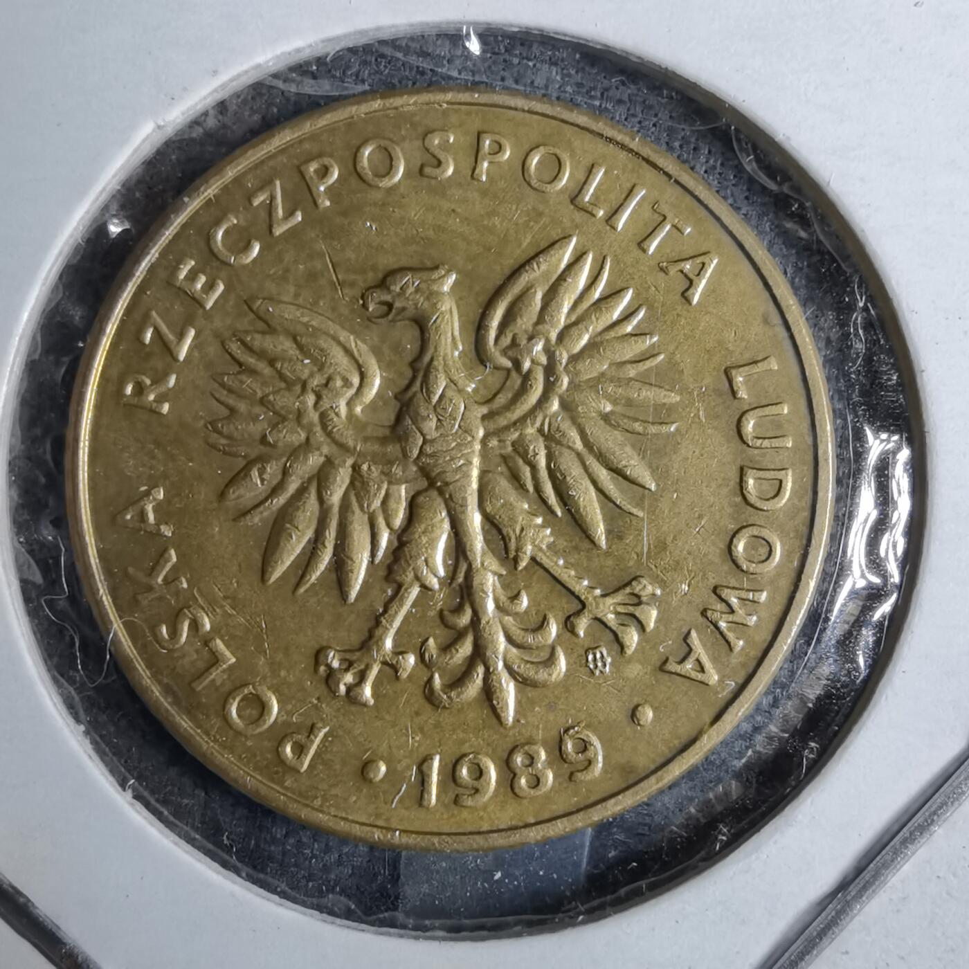 沼泽如烟--第886场