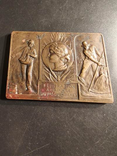 老王徽章第160期 -  法国下加莱海峡省农业协会方形大铜章      尺寸66×48mm.    重量110g