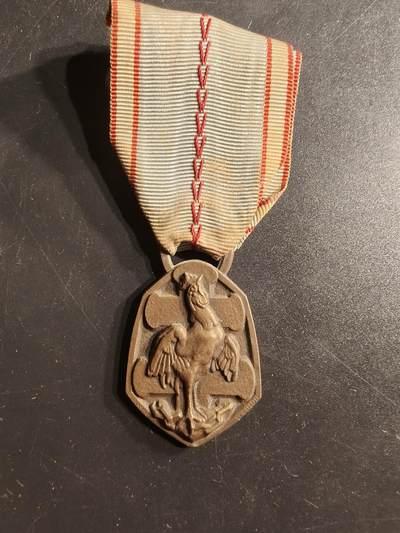 老王徽章第160期 -  法国二战纪念章