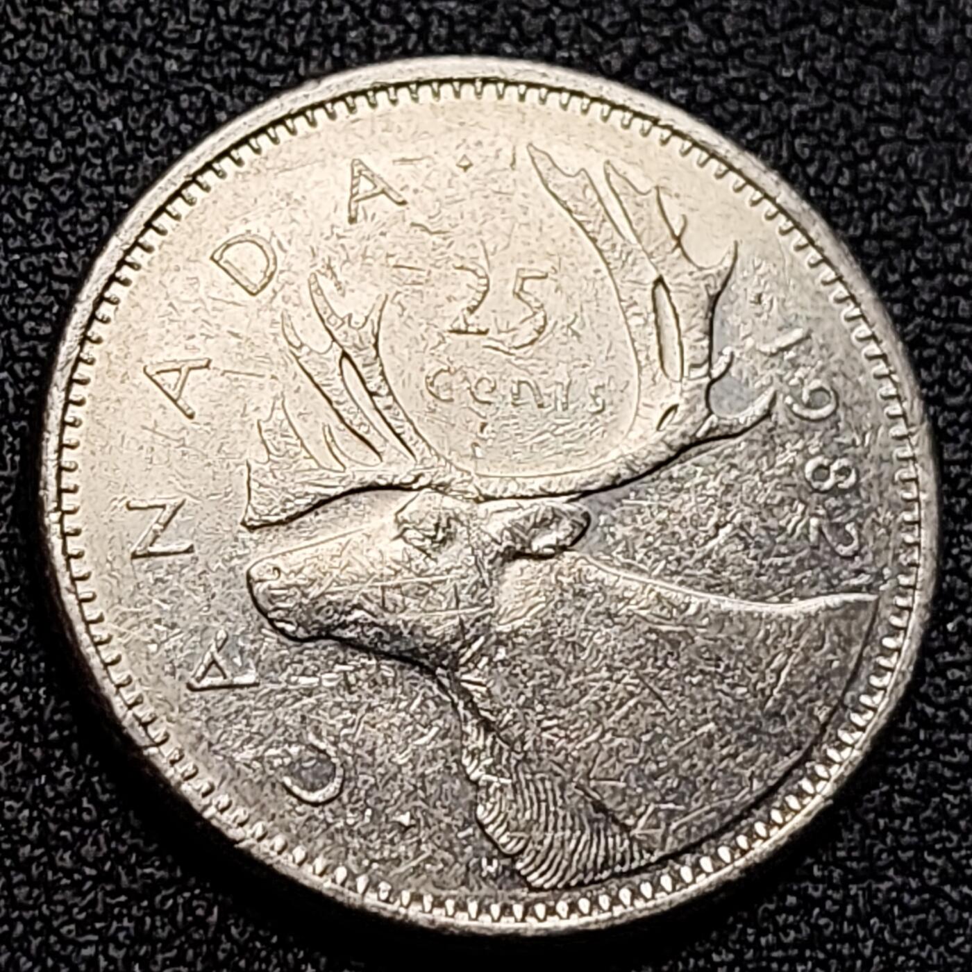 泉币菌-第122场-精品福利场