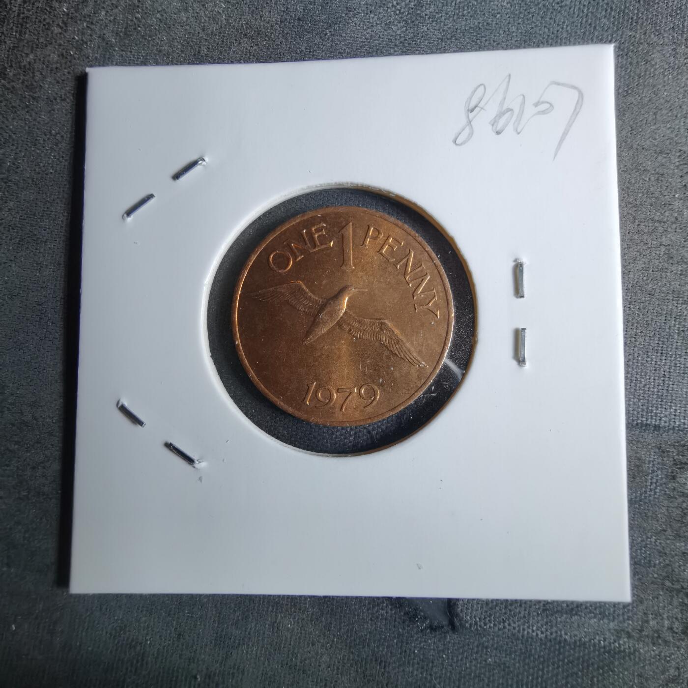 沼泽如烟--第886场