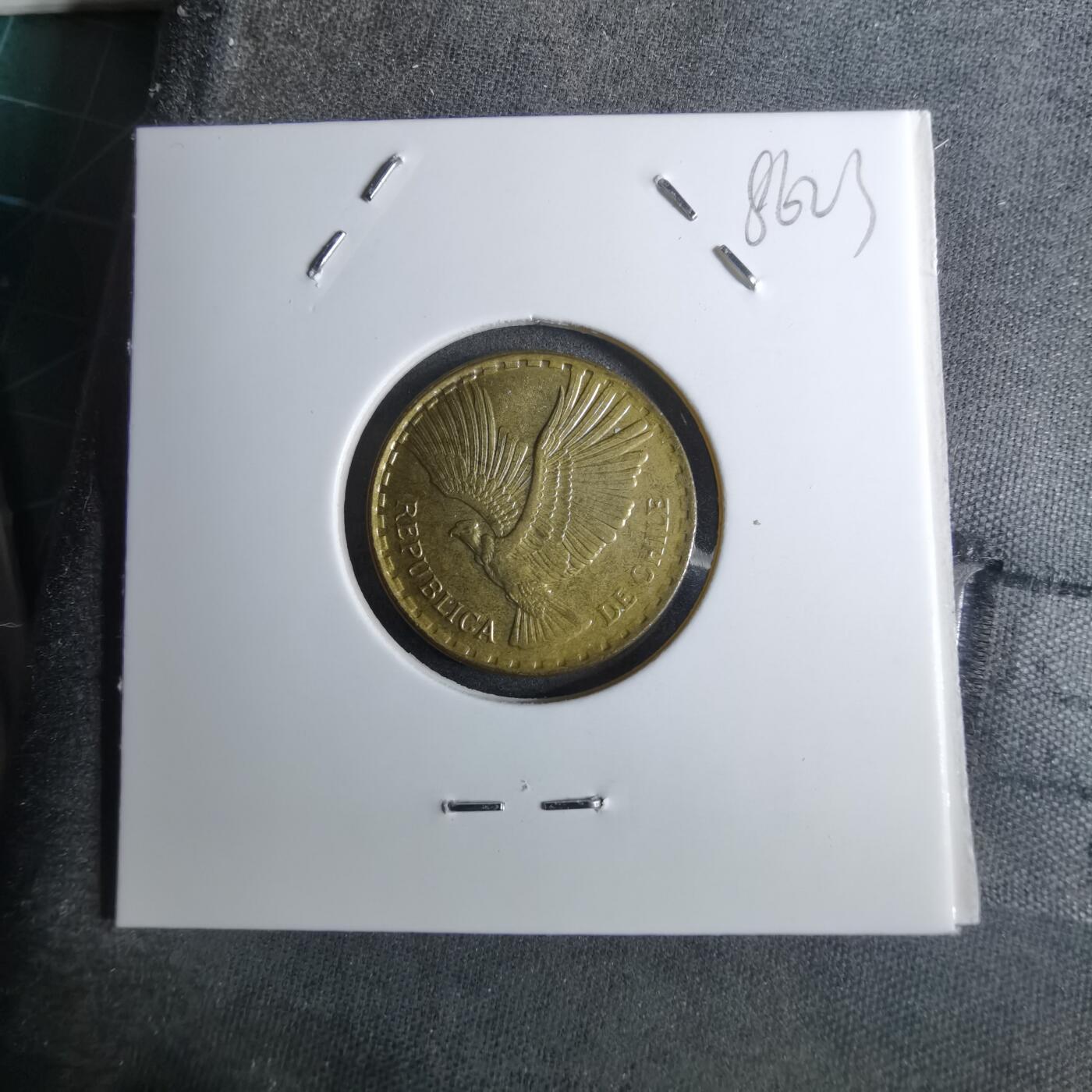 沼泽如烟--第886场