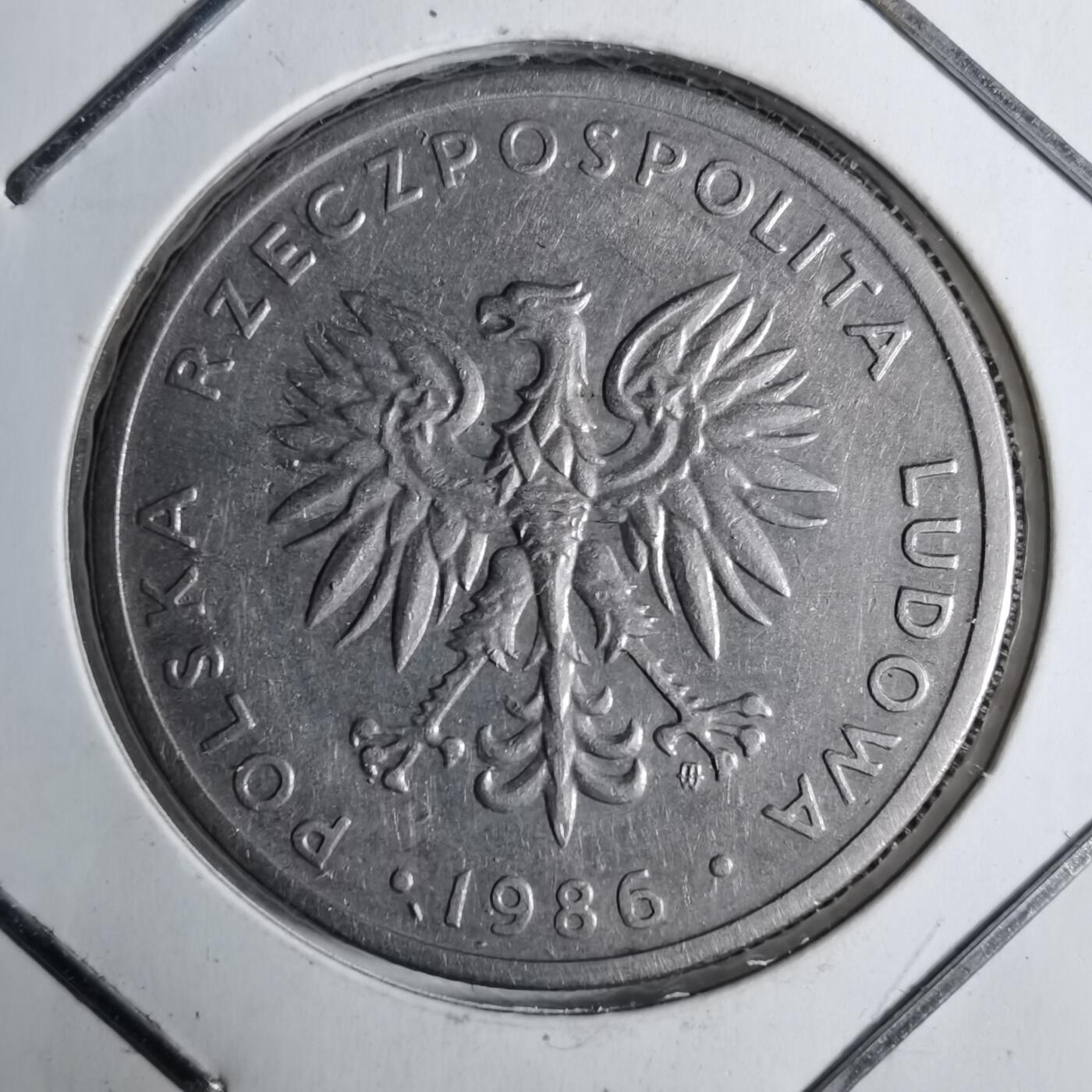 沼泽如烟--第886场