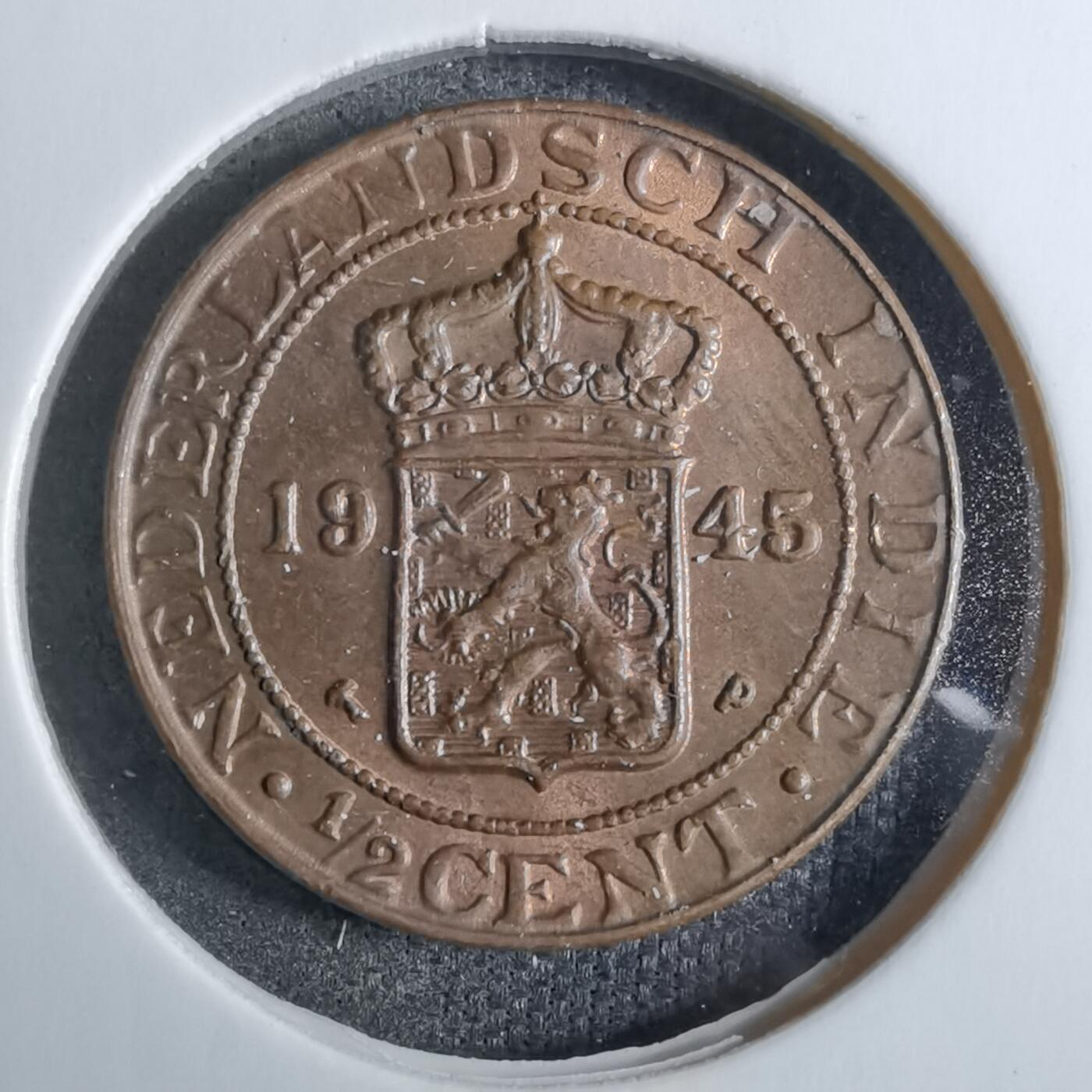 沼泽如烟--第886场