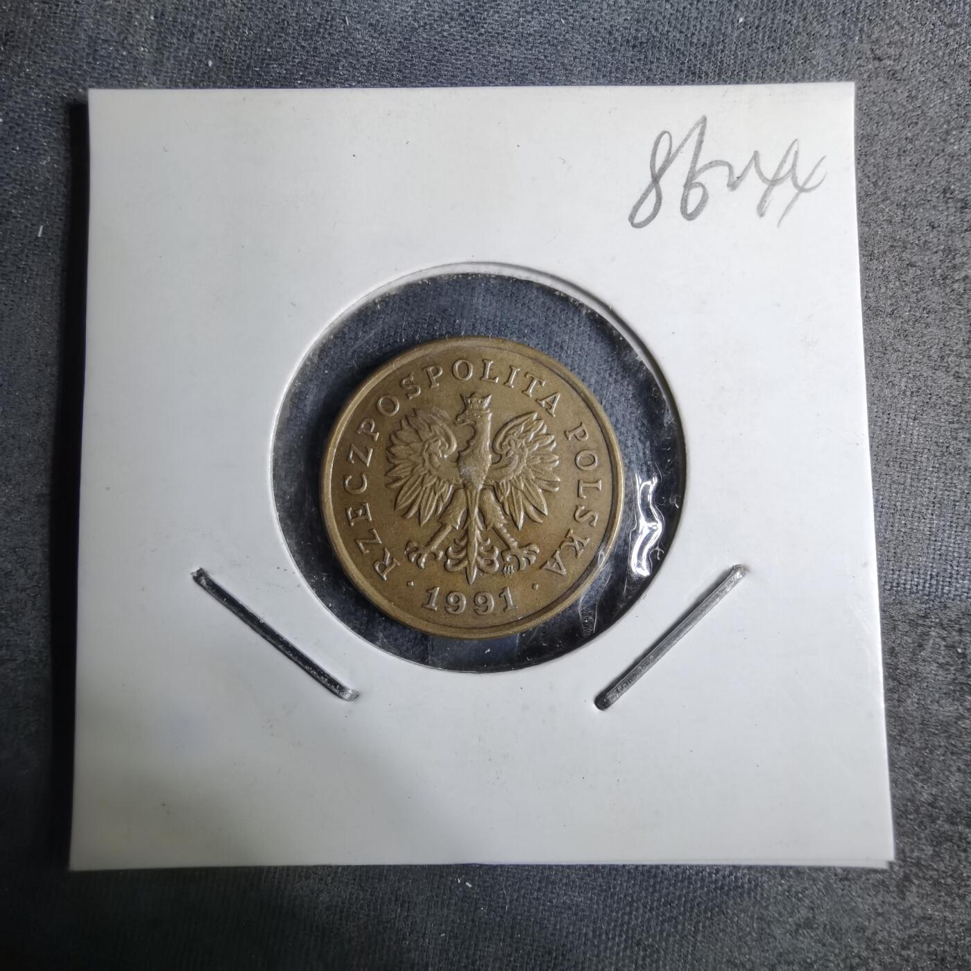 沼泽如烟--第886场