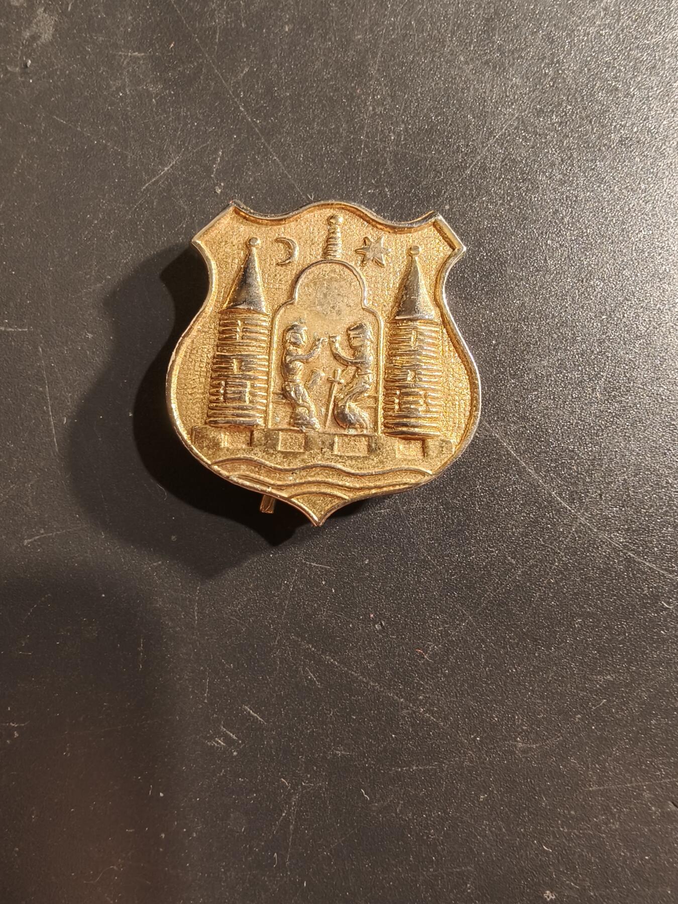 老王徽章第160期 丹麦纪念章