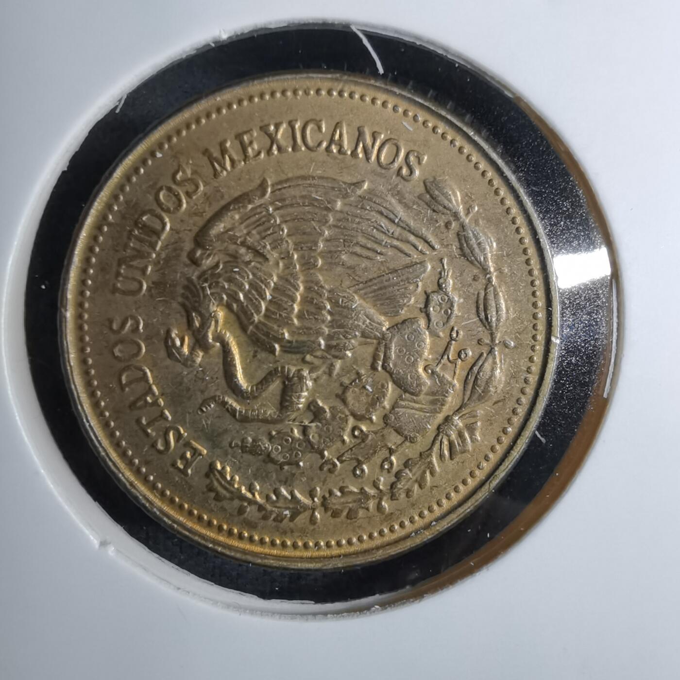 沼泽如烟--第886场