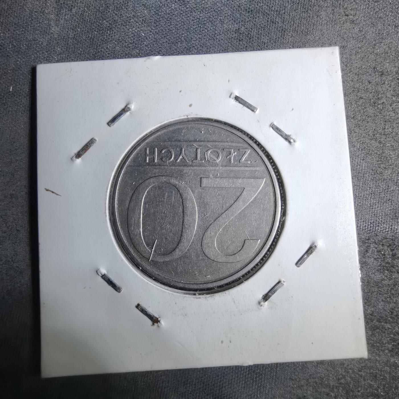 沼泽如烟--第886场