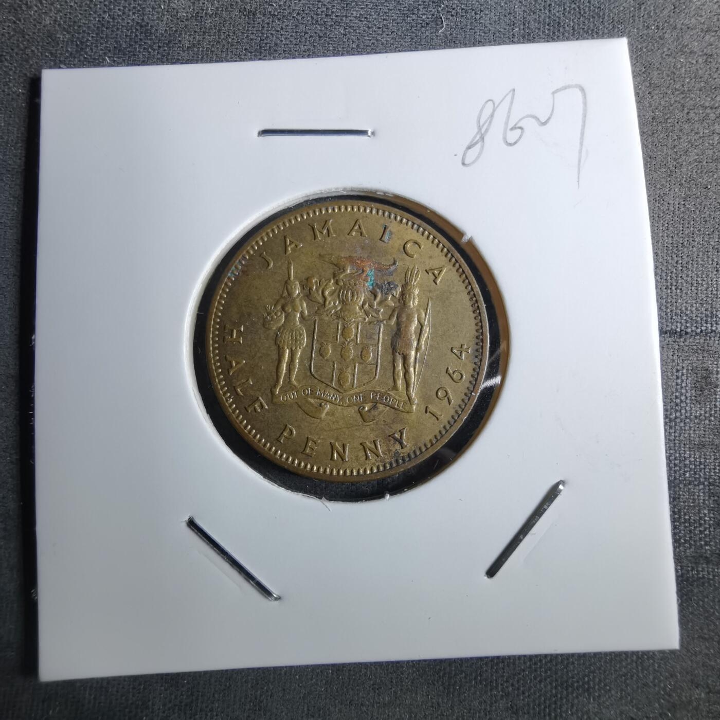 沼泽如烟--第886场