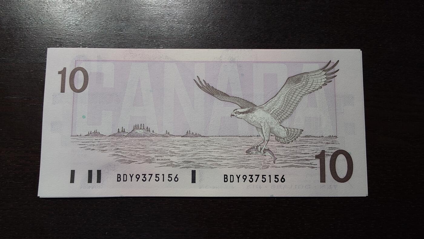 世界钱币～微拍第212期暨2025年第52期  部分库存清仓选号 1989年加拿大10元鸟版 全新绝品无4尾号156