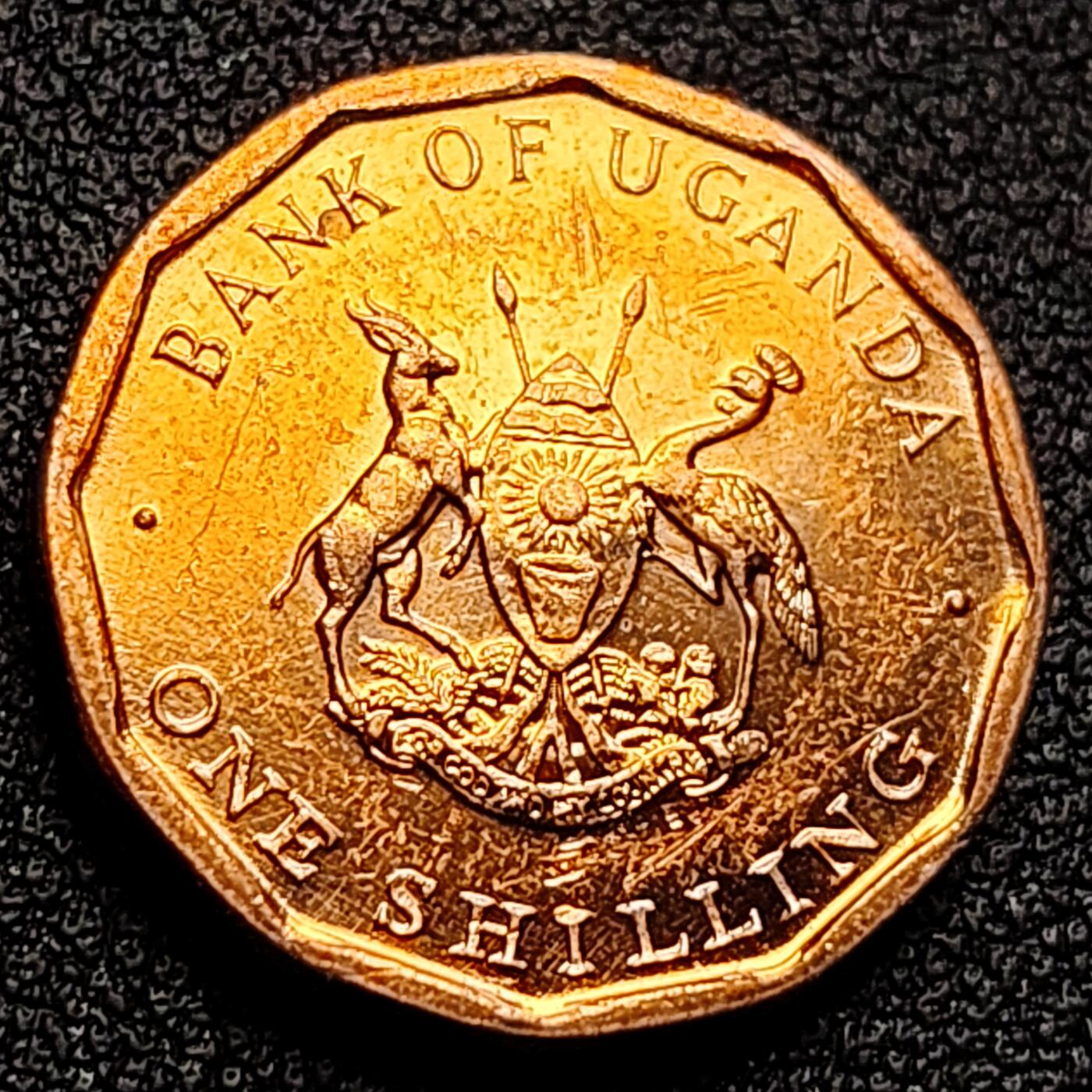 泉币菌-第122场-精品福利场 铜光美品 枝叶 乌干达1987年1先令钢镀铜硬币 19.87毫米 4.3克 铜钱纪念币