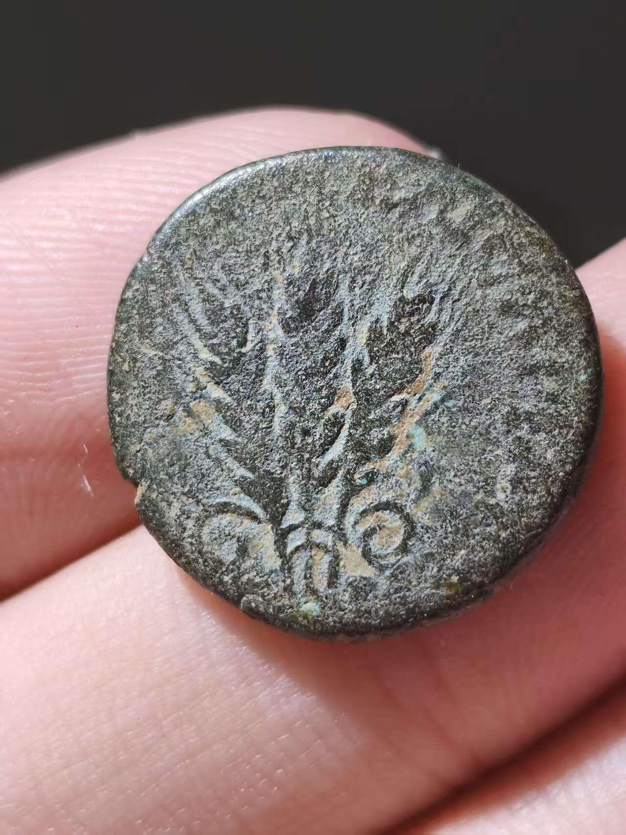 星盘世界钱币十一月五日古典币专场