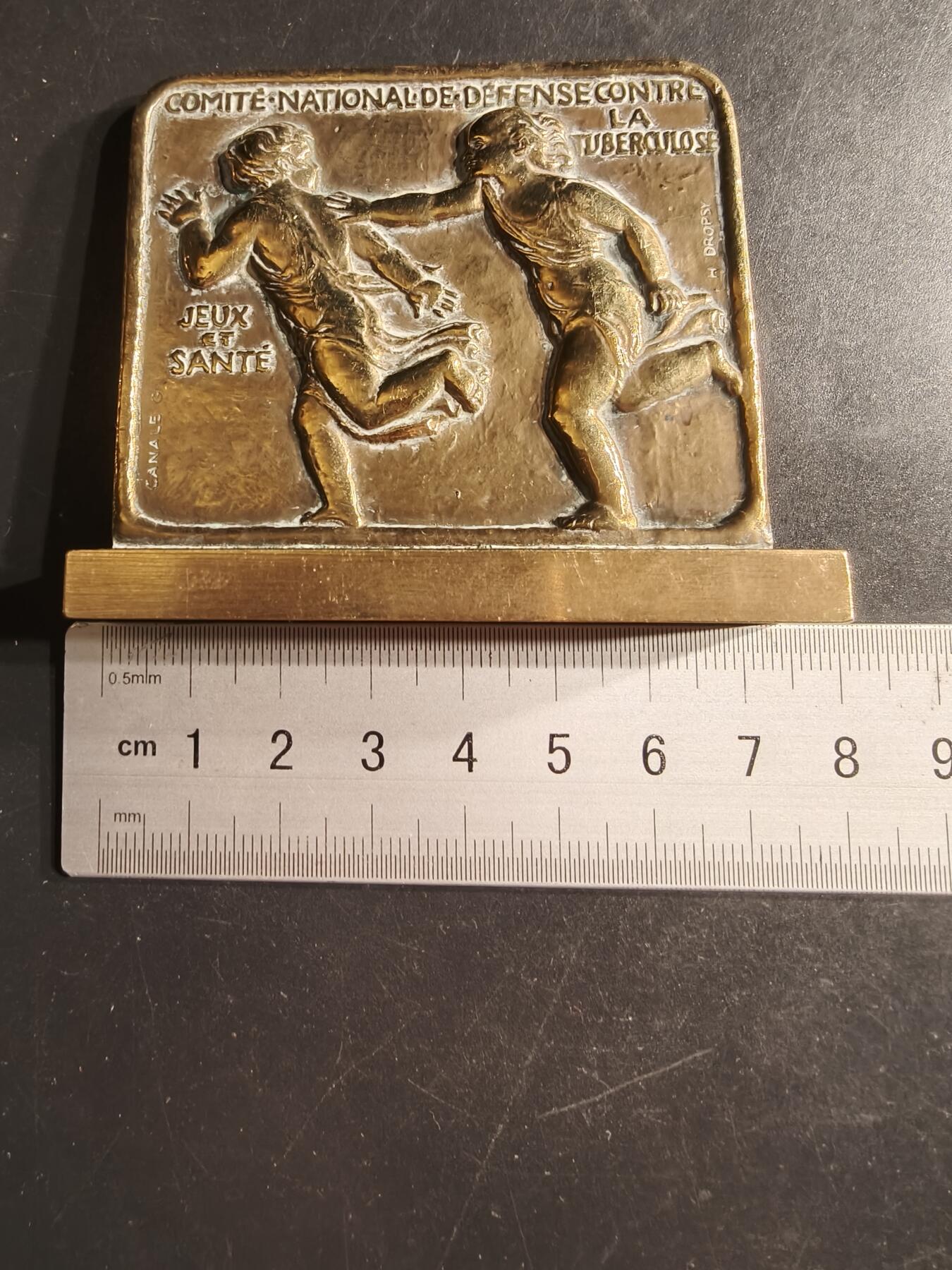 老王徽章第160期  法国国家抗结核防御委员会方形大铜章      高浮雕     尺寸：65×70mm.   重量196.3g 