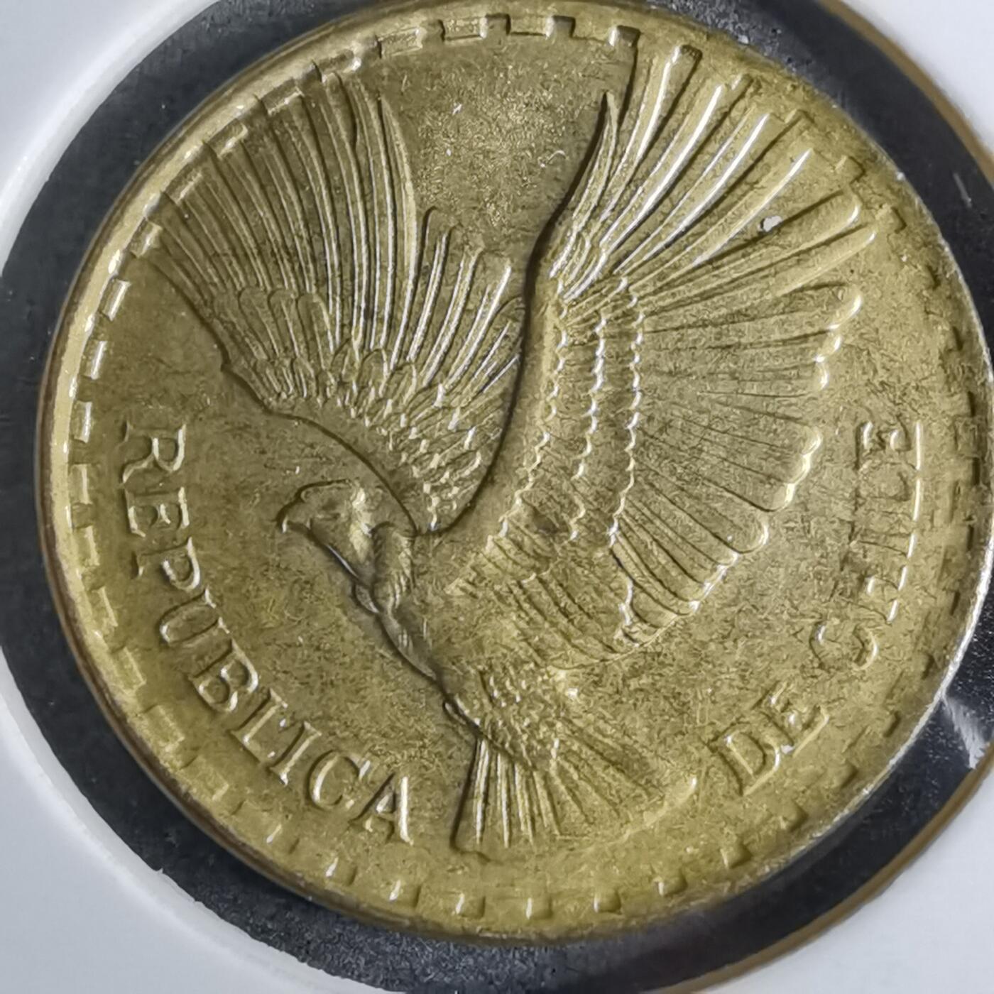 沼泽如烟--第886场