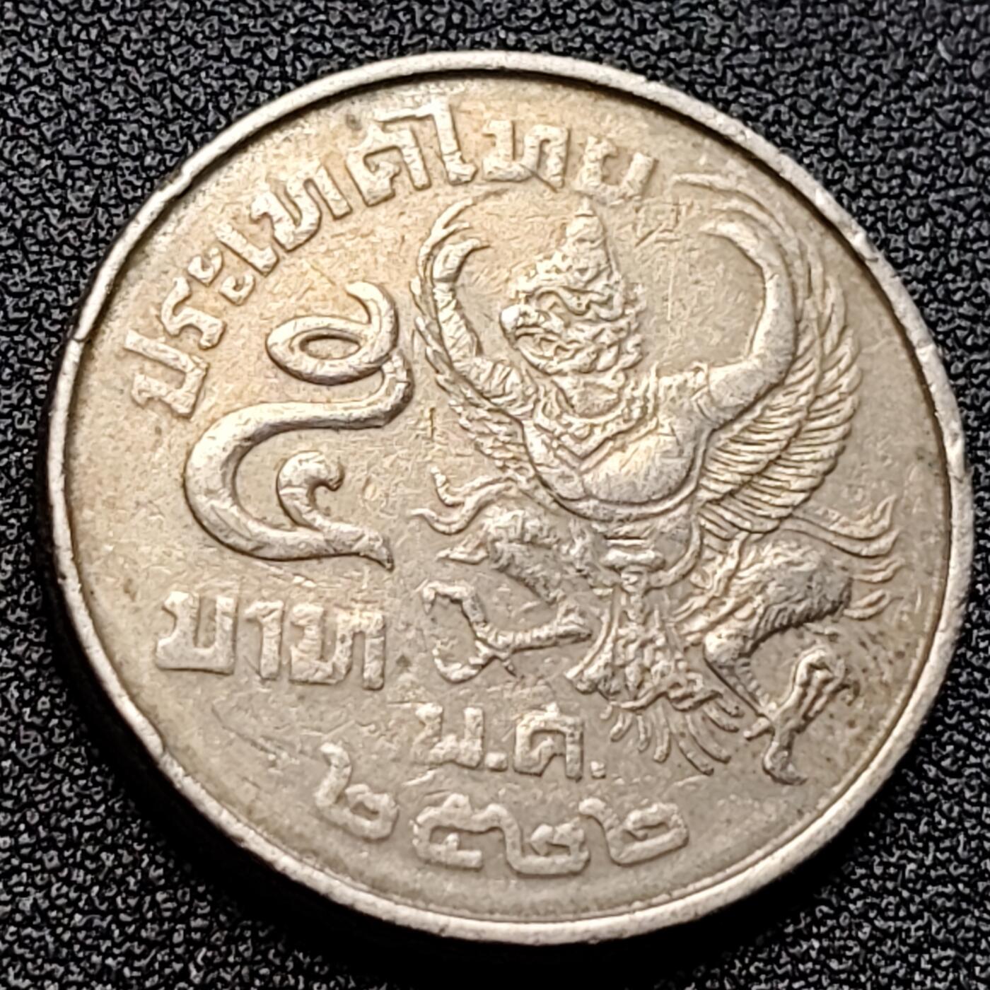 泉币菌-第122场-精品福利场