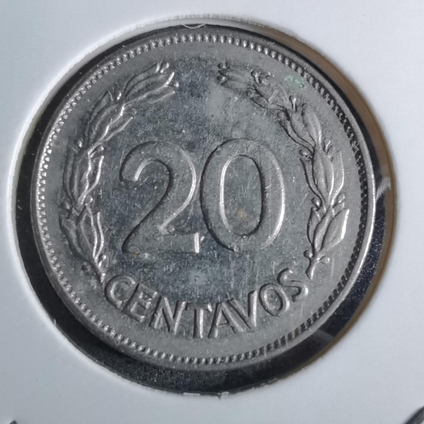 沼泽如烟--第886场