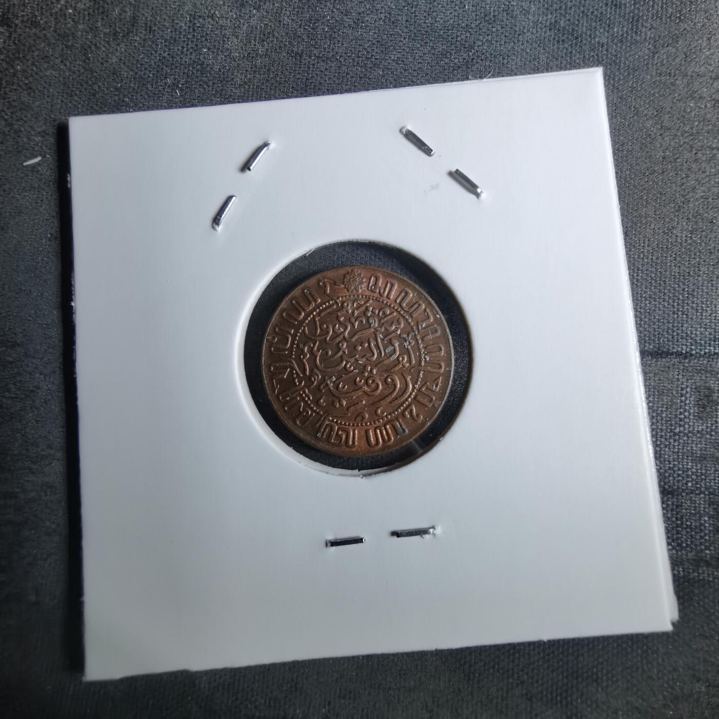 沼泽如烟--第886场