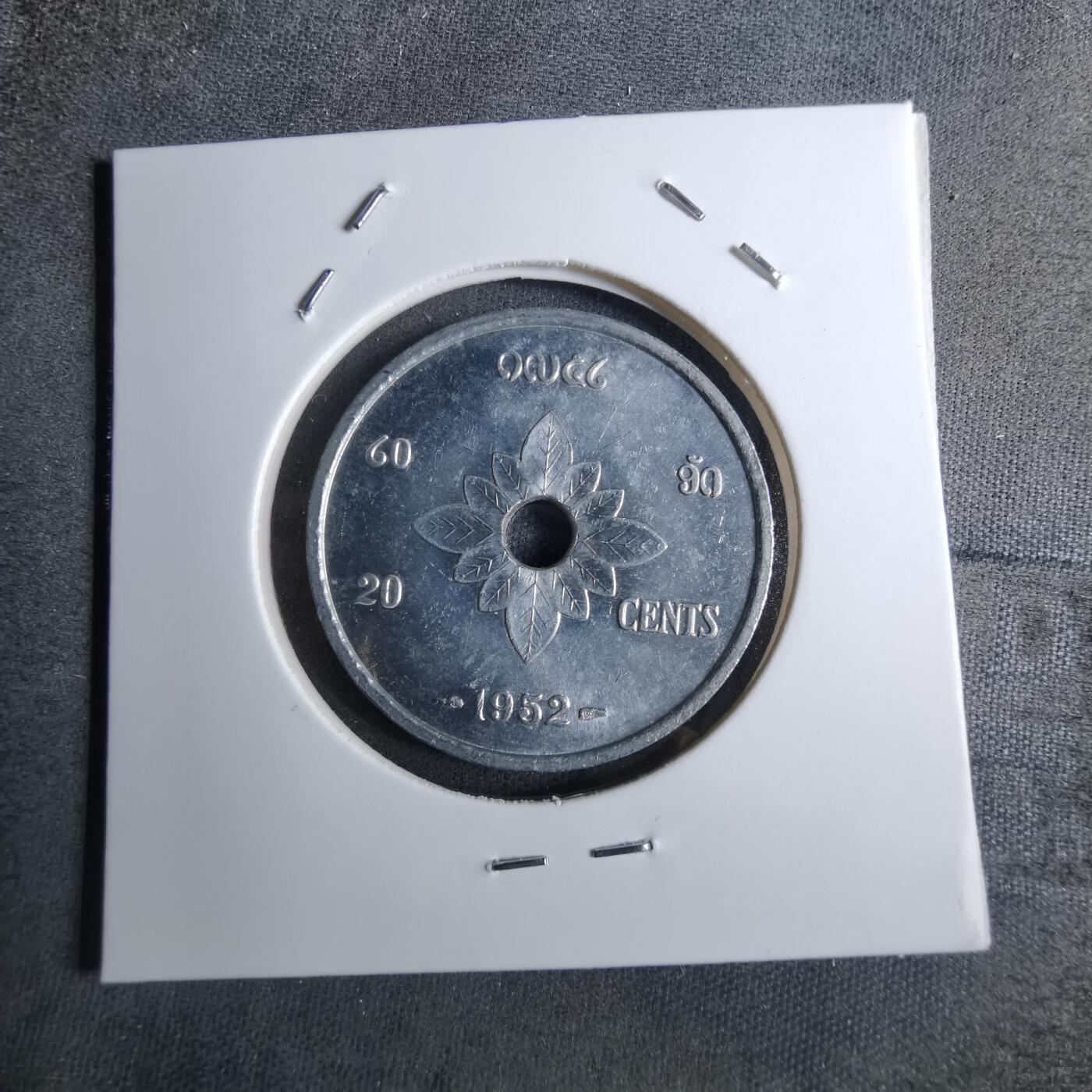 沼泽如烟--第886场