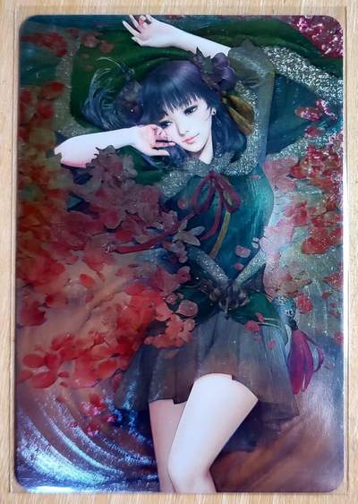 龙虎卡牌第六一场 （无佣金，单场满200元包邮，欢迎送拍） - 粗闪 裁缝卡牌 三国特卡 卡背艺术版