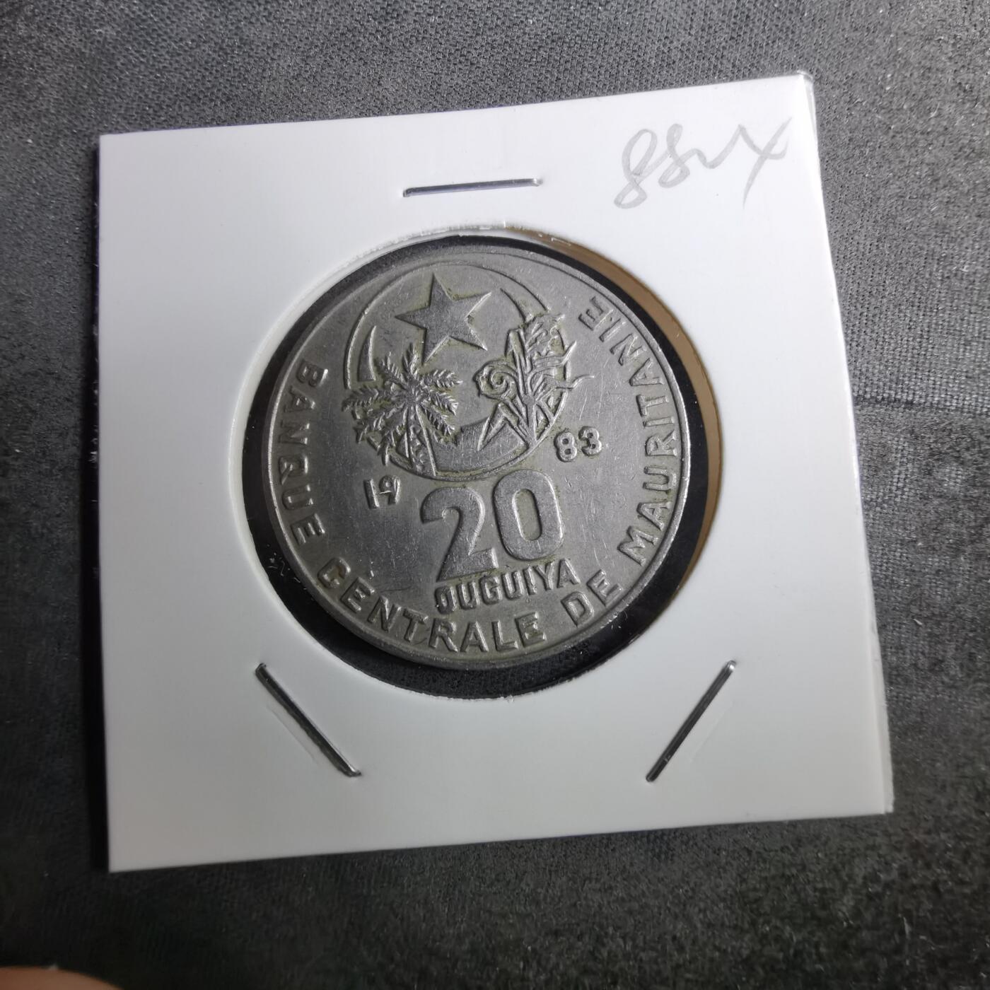 沼泽如烟--第888场