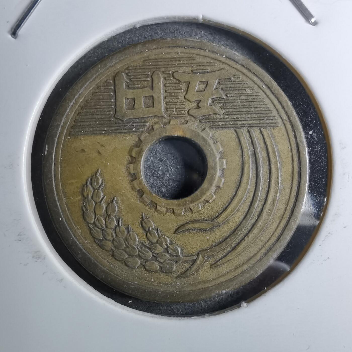 沼泽如烟--第888场