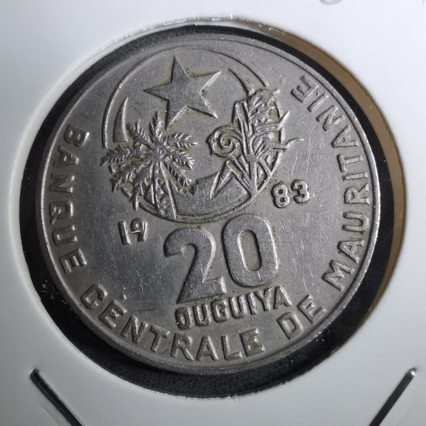 沼泽如烟--第888场