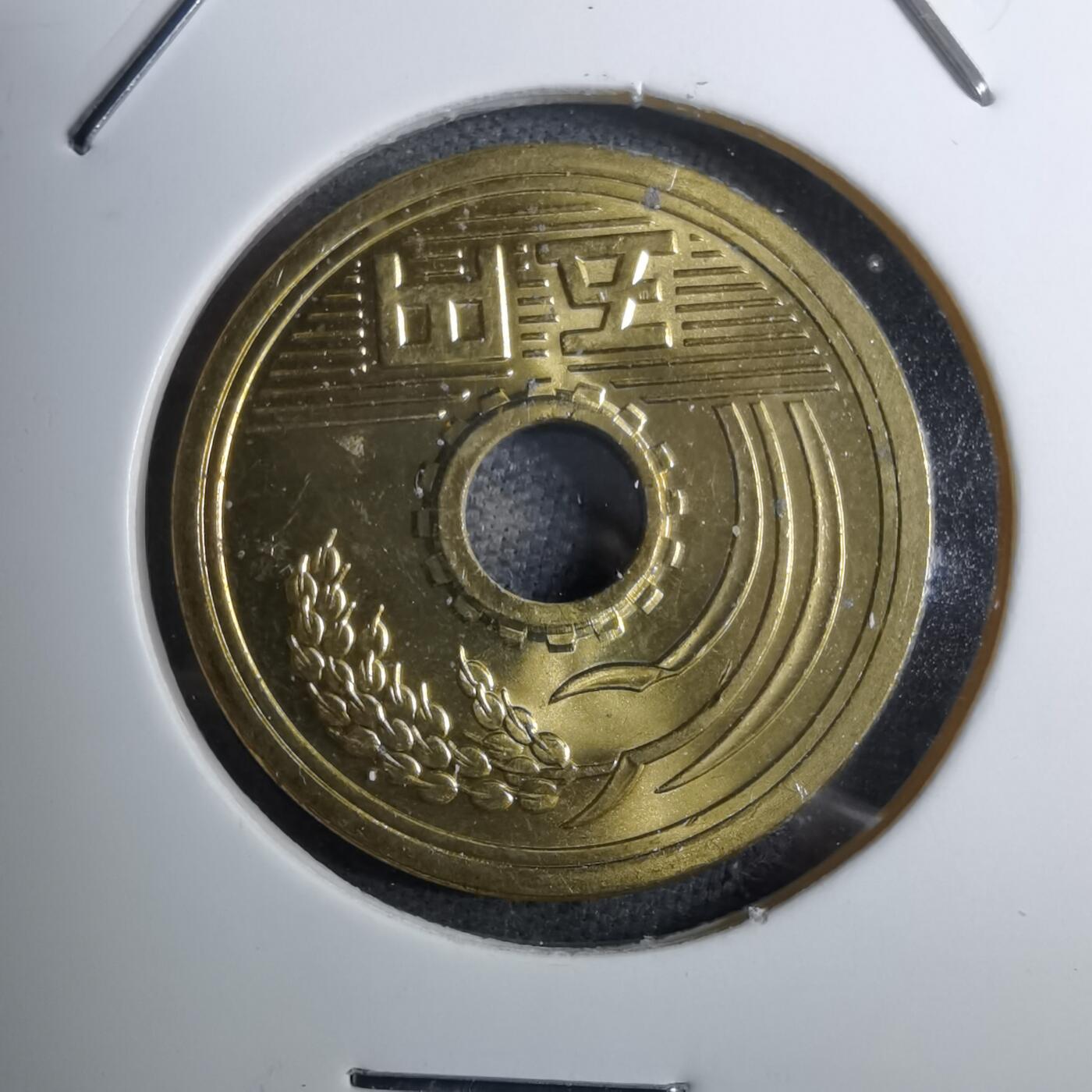 沼泽如烟--第888场