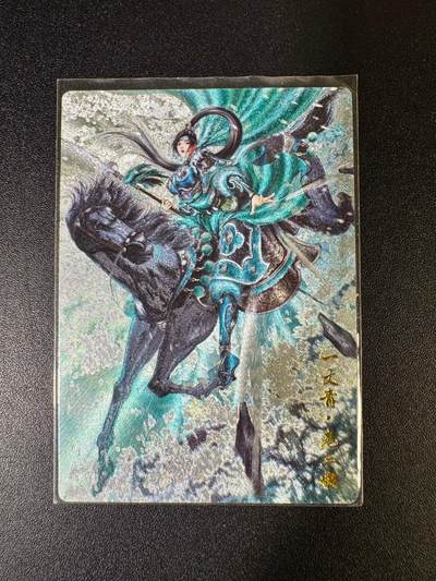 NO.14 好又多金牌大场，双11狂欢！每周一站式配齐，方便凑单！（周6晚8点截拍，卖家送拍0抽成！） - 卡德曼 300编扈三娘 粗闪