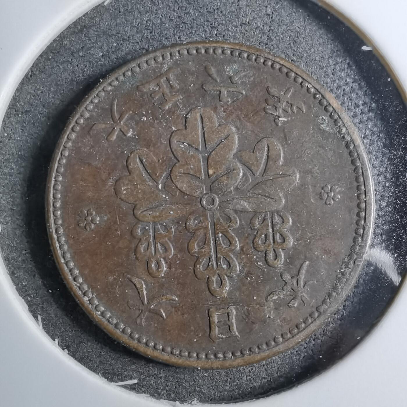 沼泽如烟--第888场