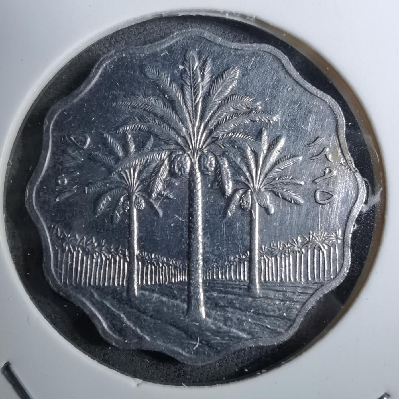 沼泽如烟--第888场