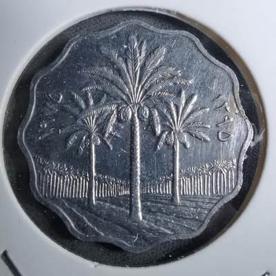 沼泽如烟--第888场 - 伊拉克