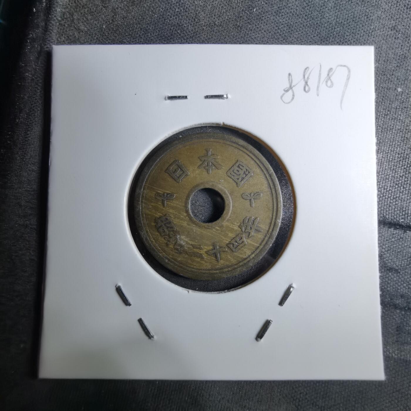 沼泽如烟--第888场