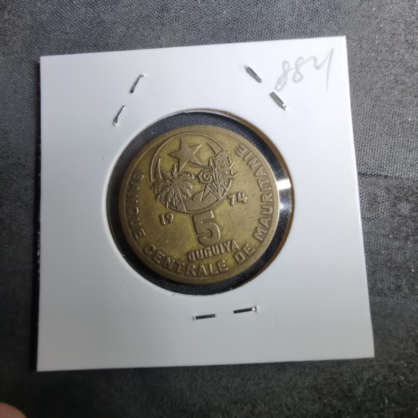 沼泽如烟--第888场