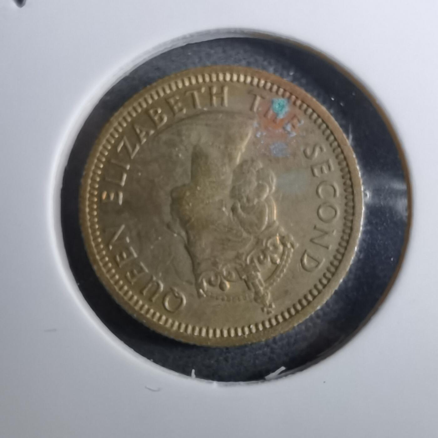 沼泽如烟--第888场