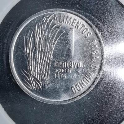 沼泽如烟--第889场 - 巴西1975年一分