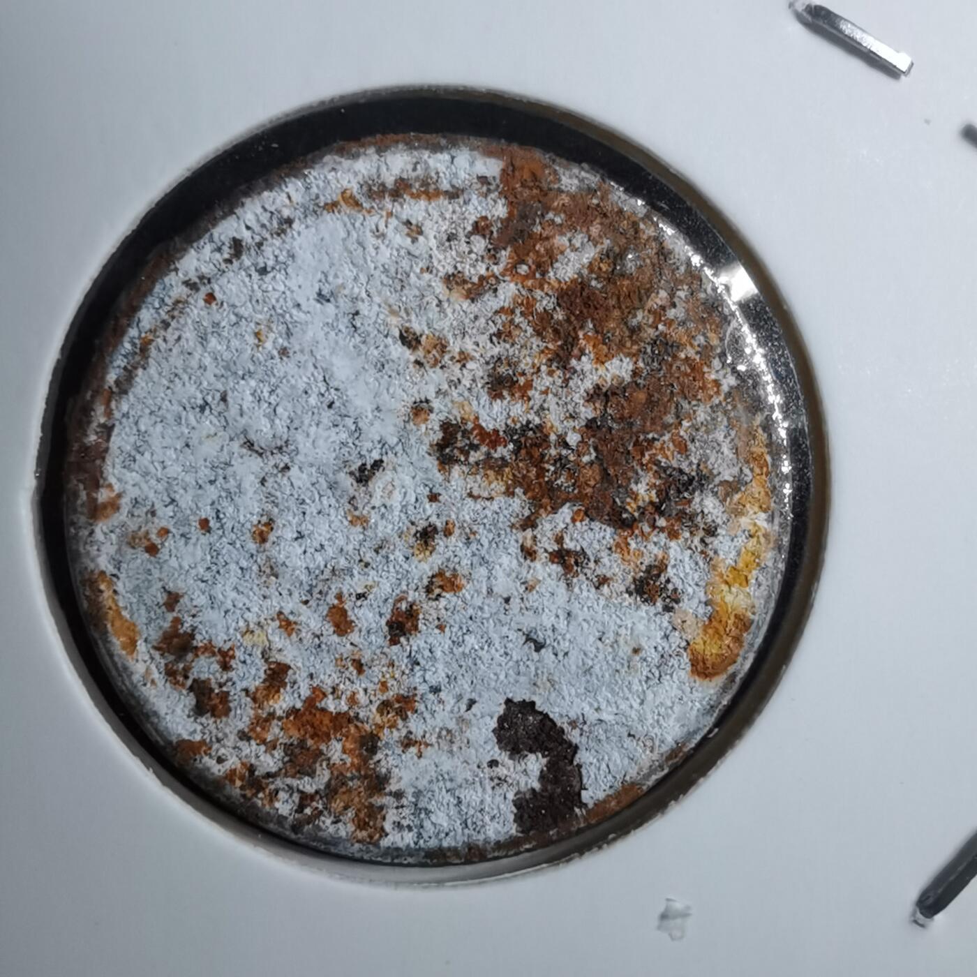 沼泽如烟--第888场 氧化严重美分