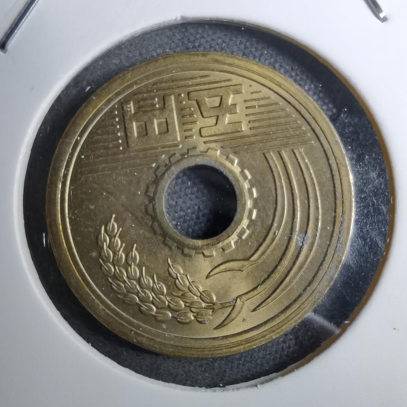 沼泽如烟--第888场