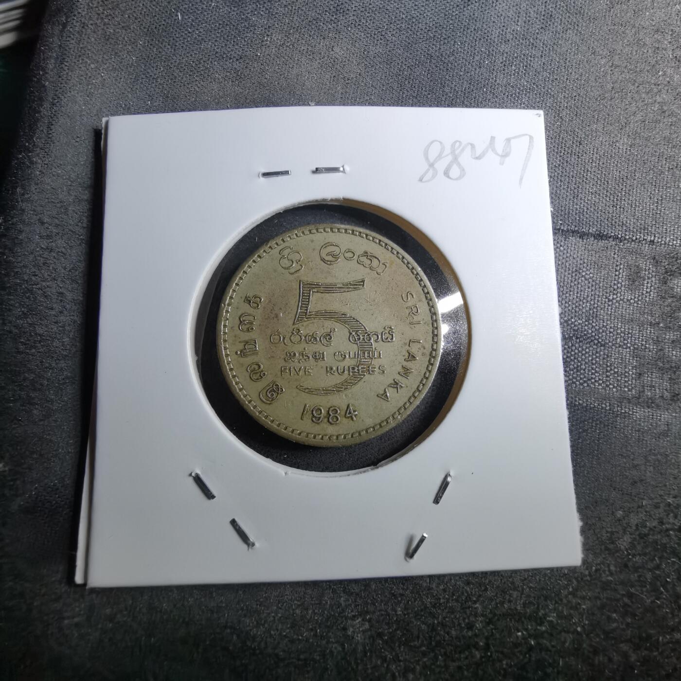 沼泽如烟--第888场