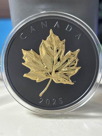 第180期拍卖【长期征集拍品】【北京币展专场】 - 加拿大2025年镀铑镀金枫叶1盎司纪念银币，9999银，发行5500枚