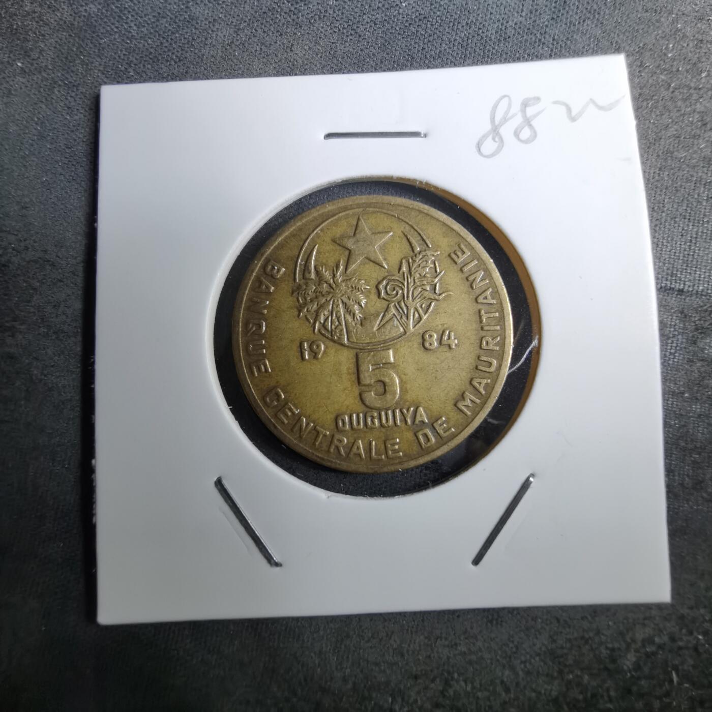 沼泽如烟--第888场