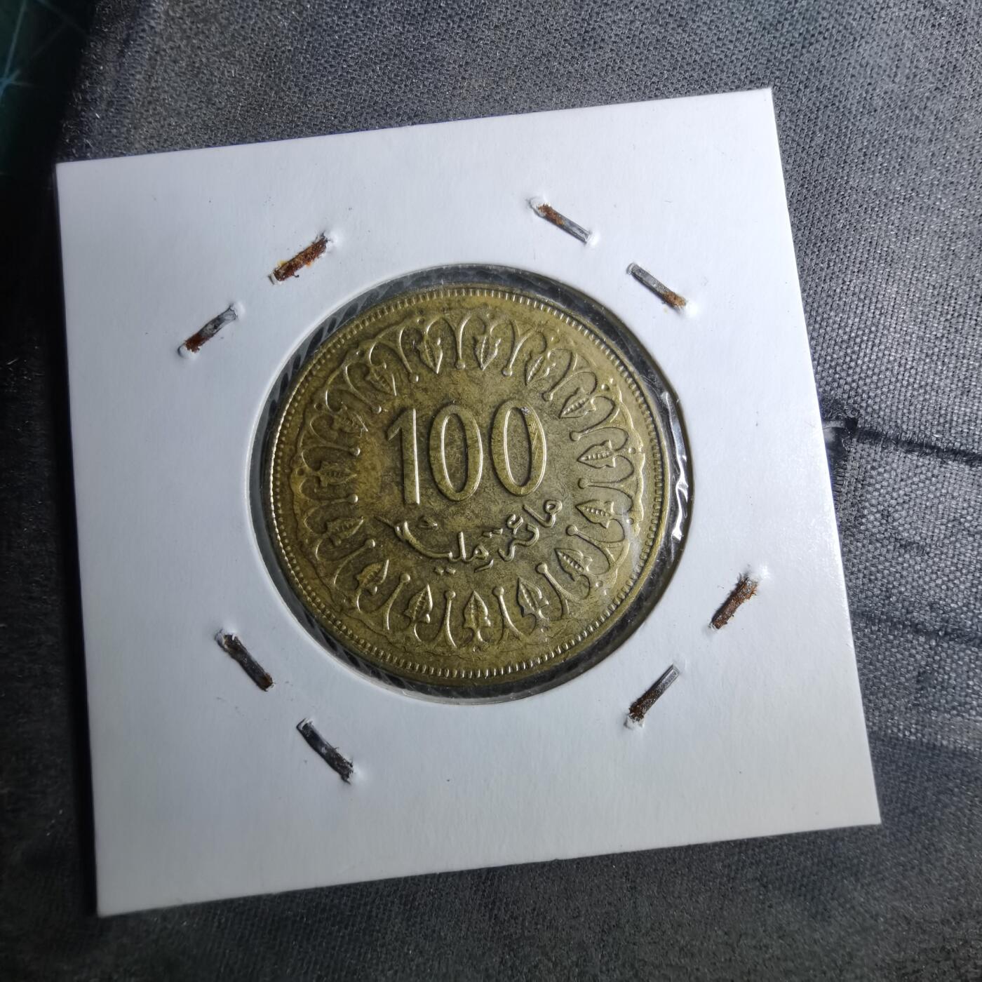 沼泽如烟--第888场