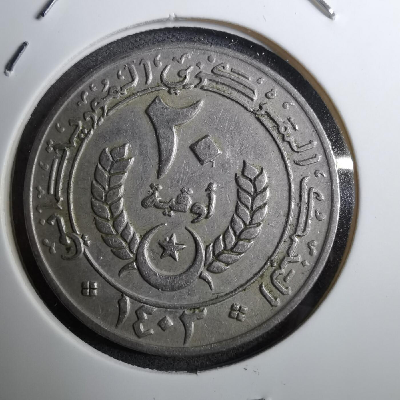 沼泽如烟--第888场