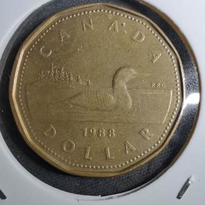 沼泽如烟--第888场 - 加拿大1988年一元