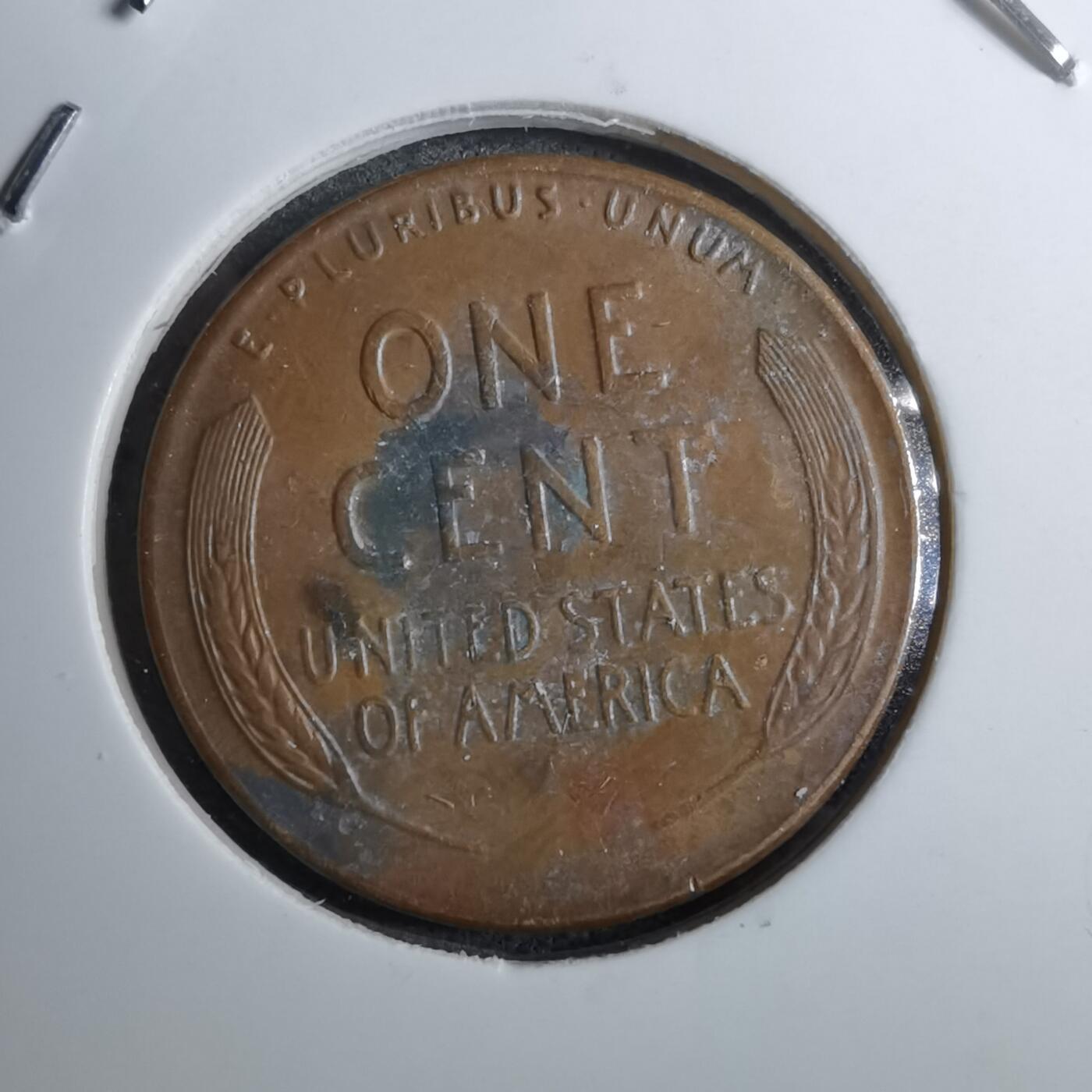 沼泽如烟--第888场 美国1954年一分