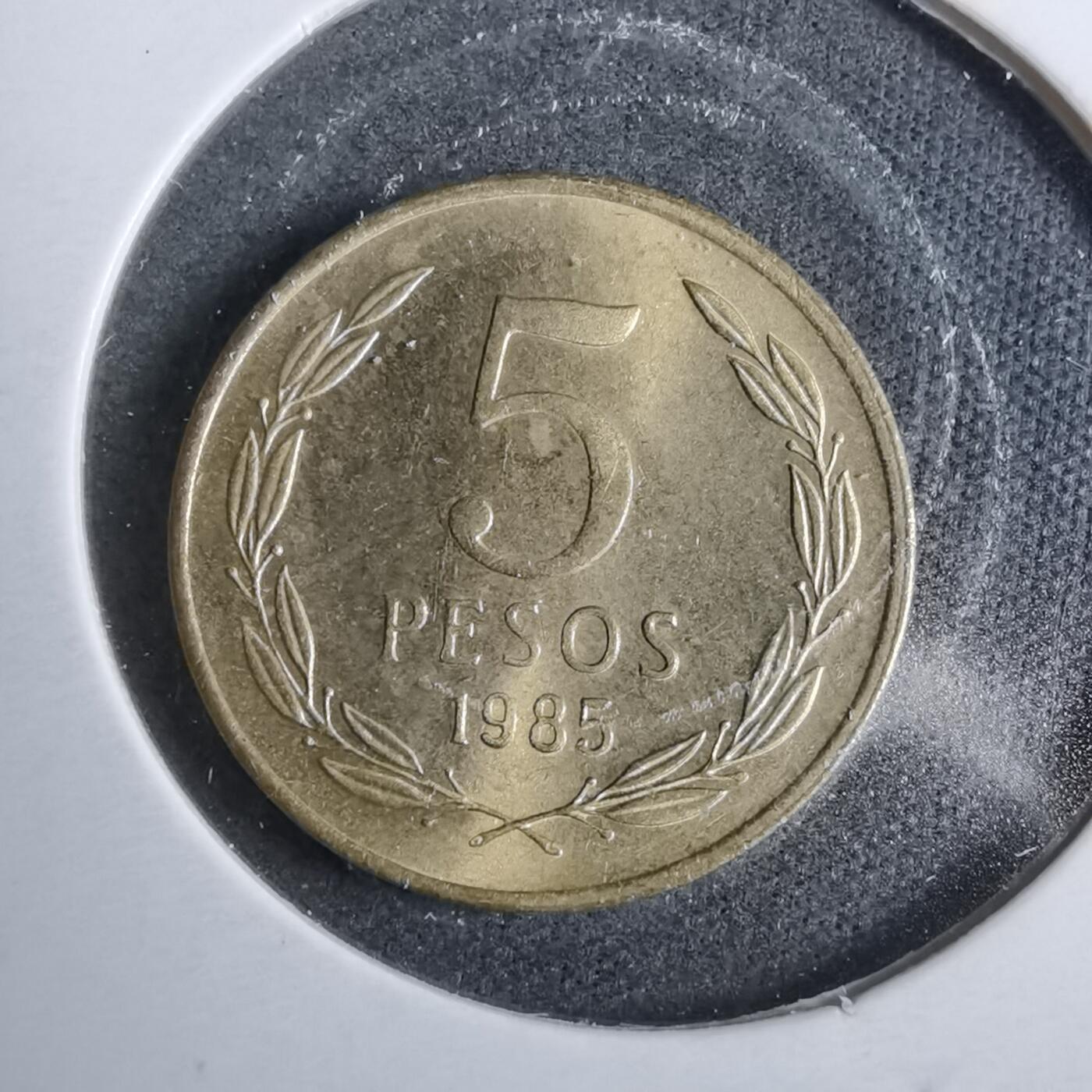 沼泽如烟--第889场