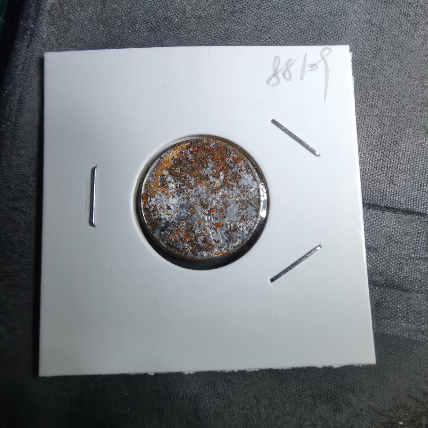 沼泽如烟--第888场