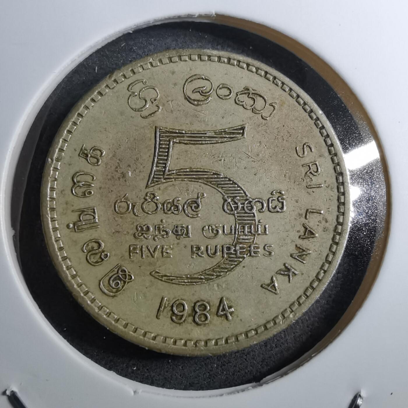 沼泽如烟--第888场